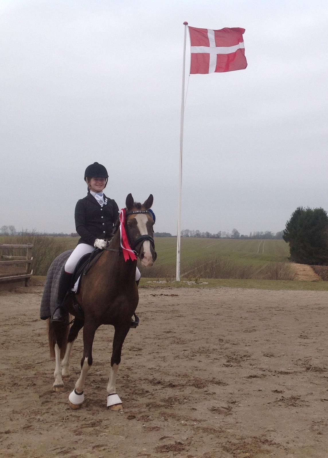 Glamsbjerg rideklub 14/4 2013 billede 11