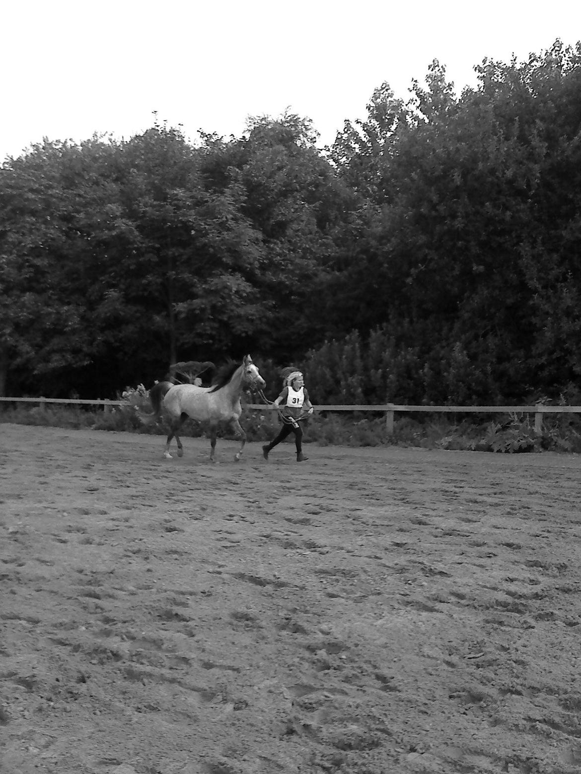 forskellige billeder af Fantasy<3 billede 3