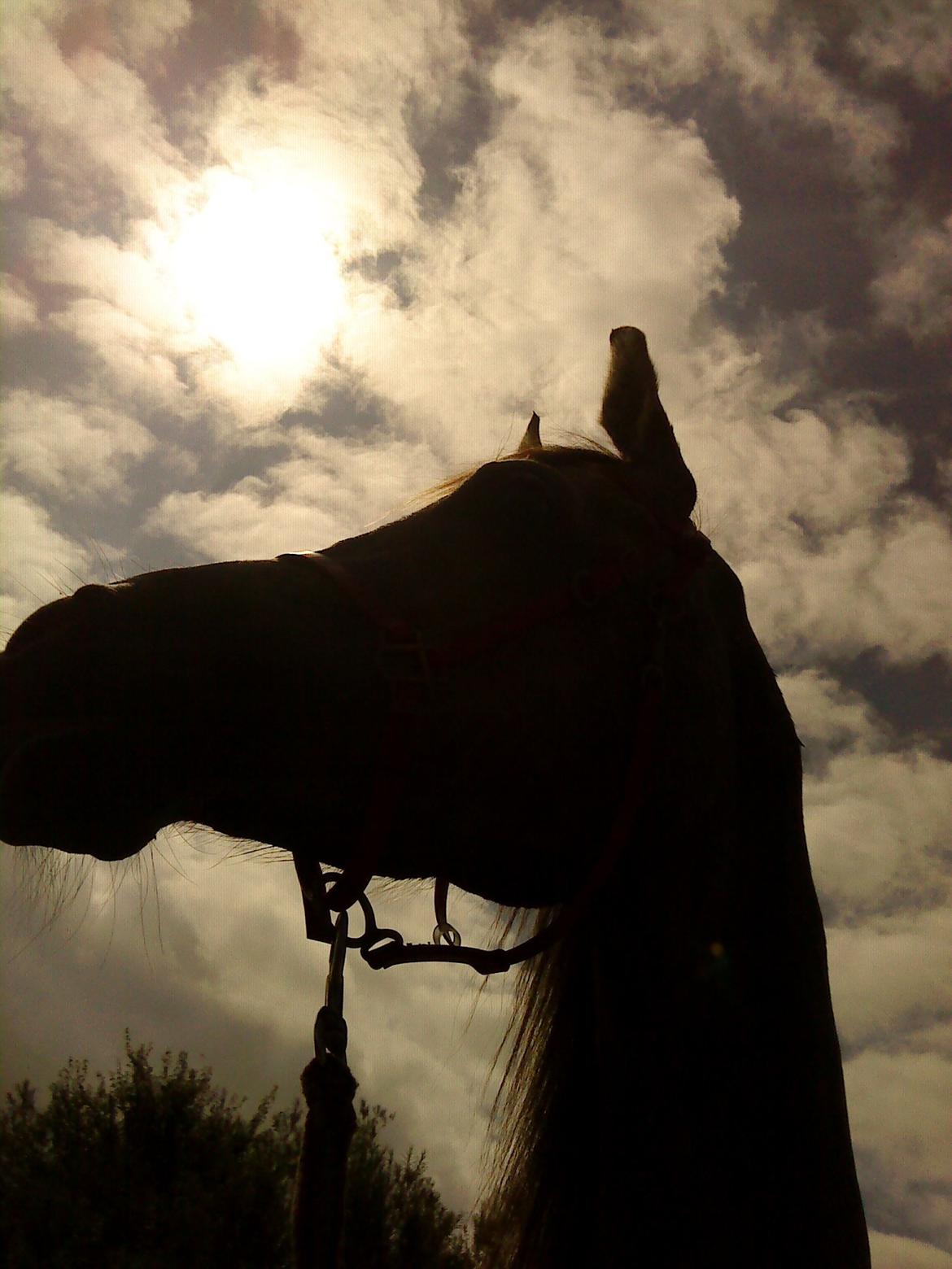 forskellige billeder af Fantasy<3 billede 9