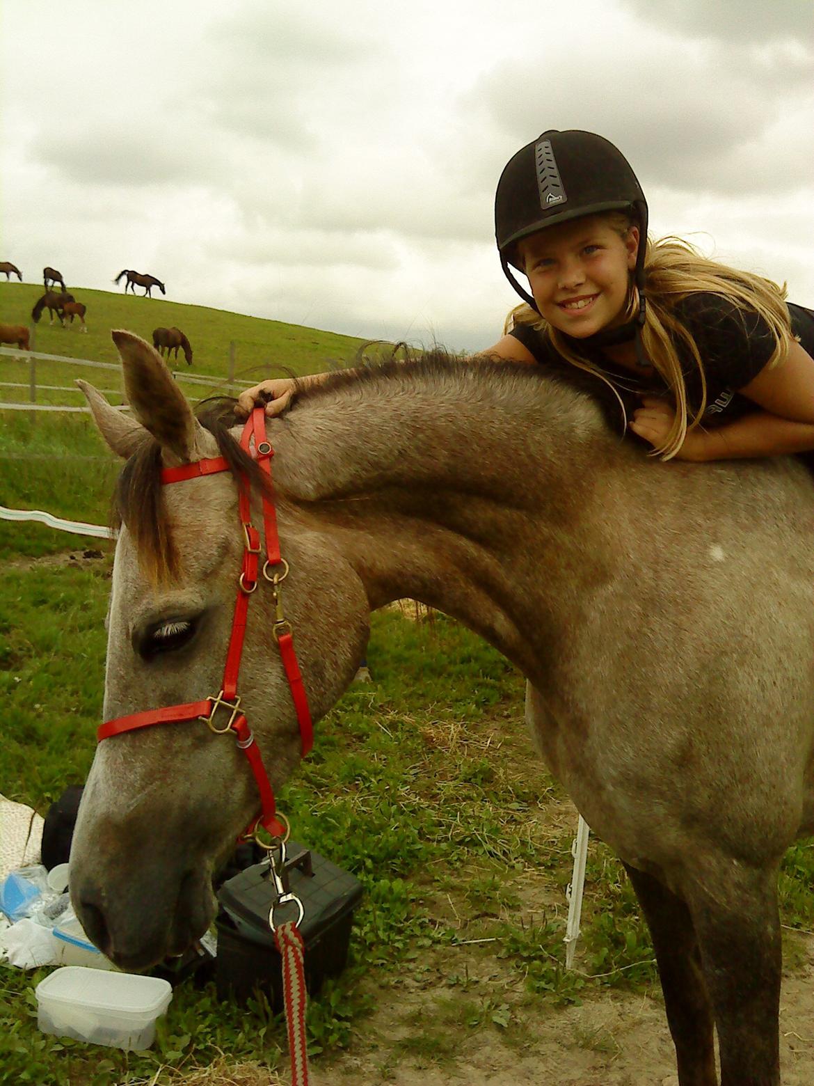 forskellige billeder af Fantasy<3 billede 11