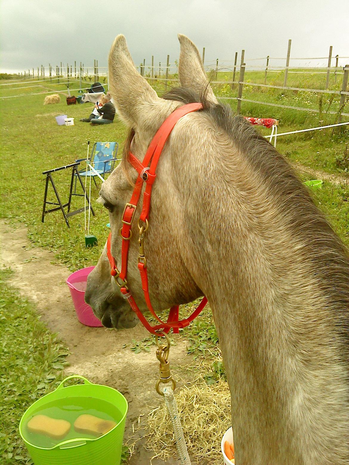 forskellige billeder af Fantasy<3 billede 13