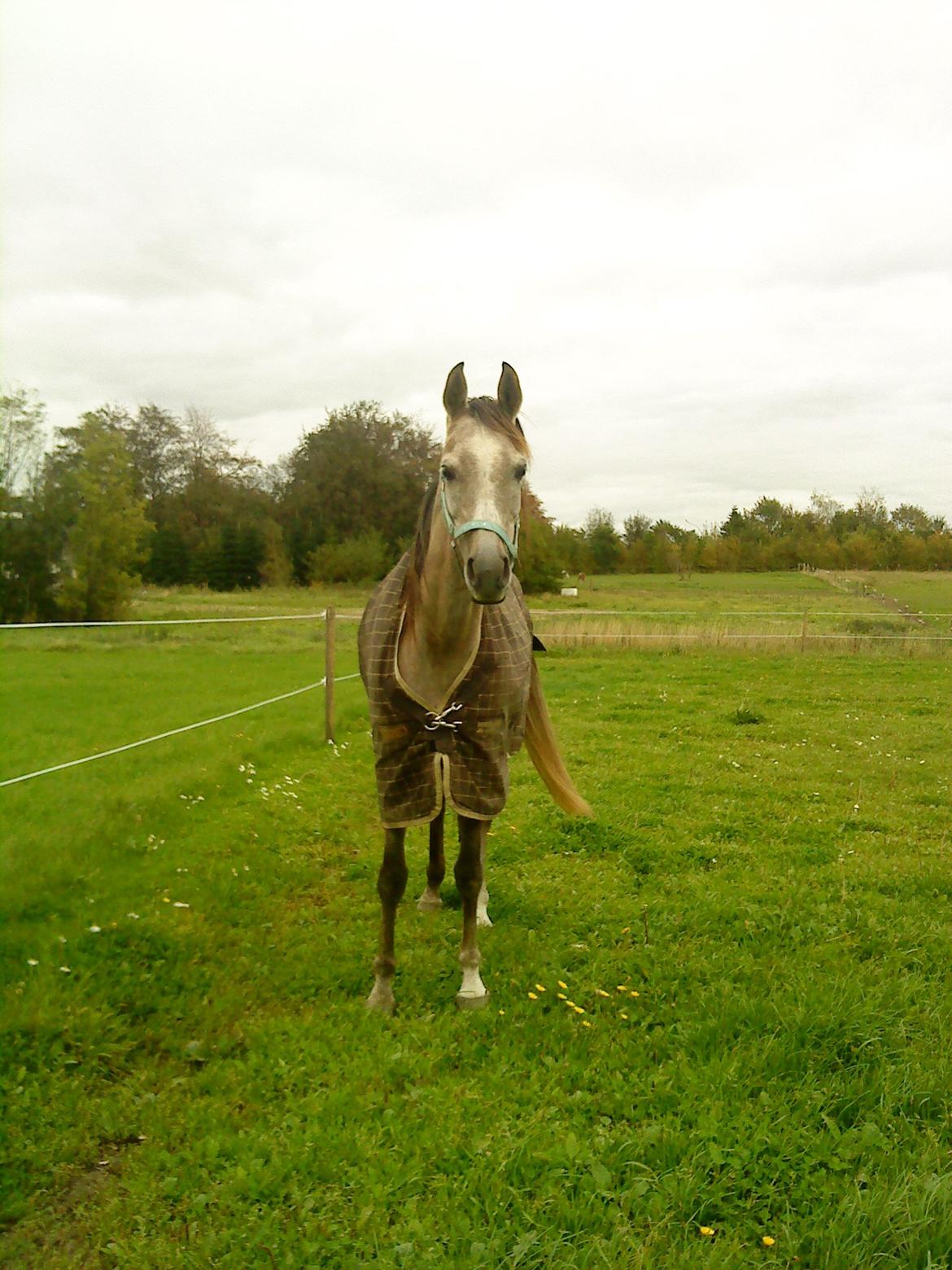 forskellige billeder af Fantasy<3 billede 15