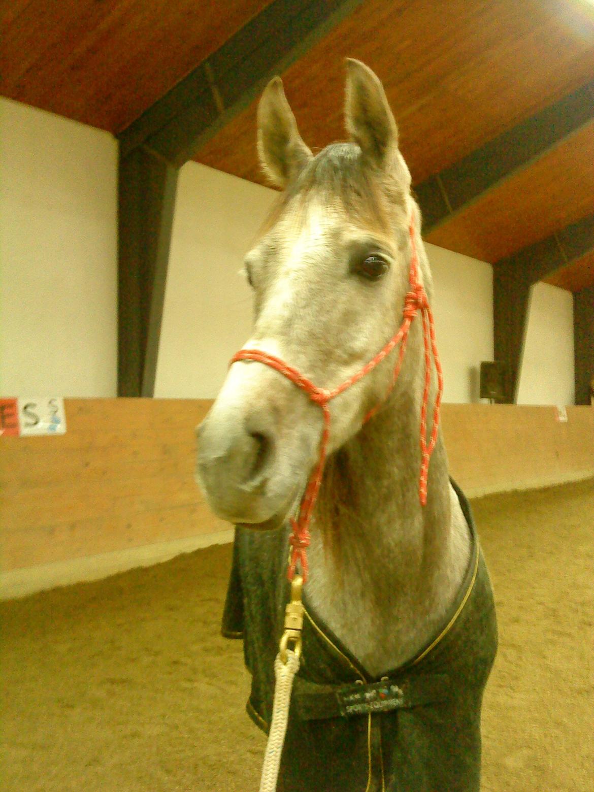 forskellige billeder af Fantasy<3 billede 19