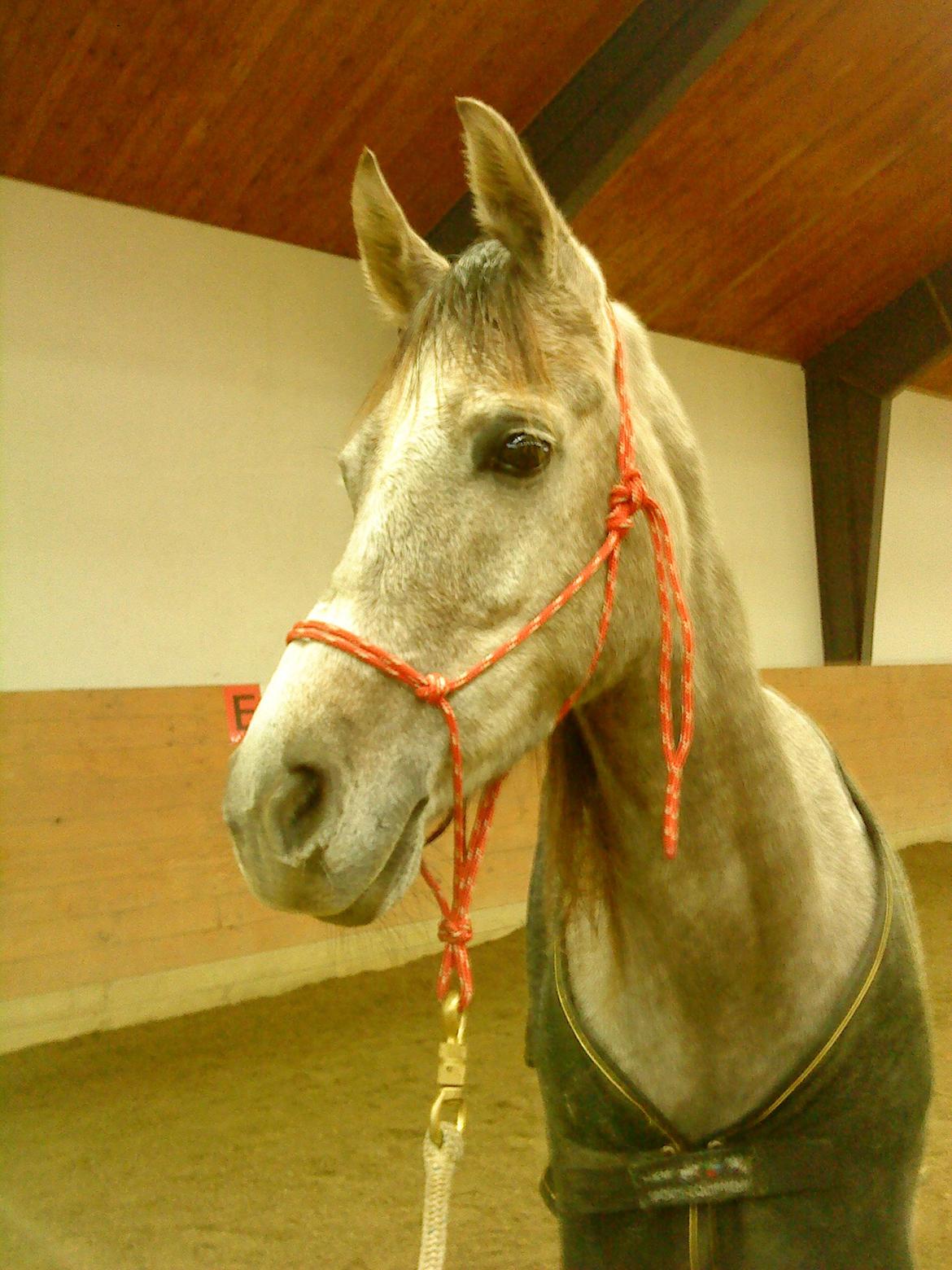 forskellige billeder af Fantasy<3 billede 20