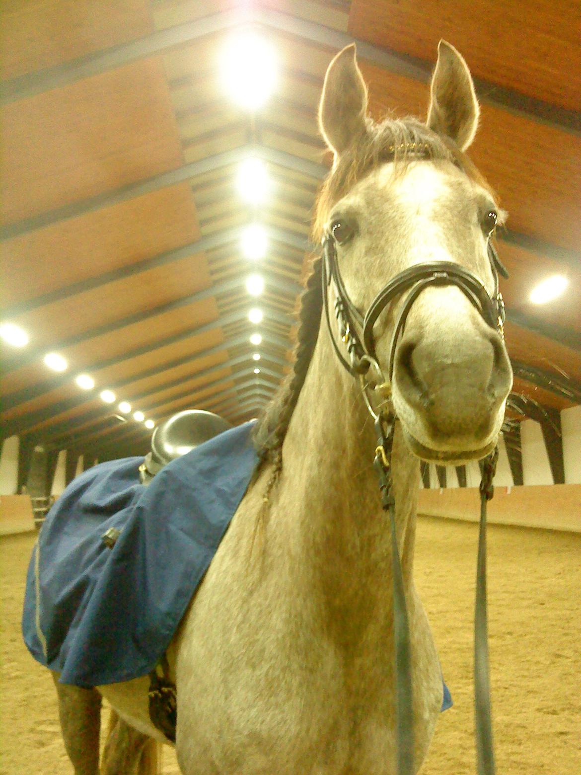 forskellige billeder af Fantasy<3 billede 22