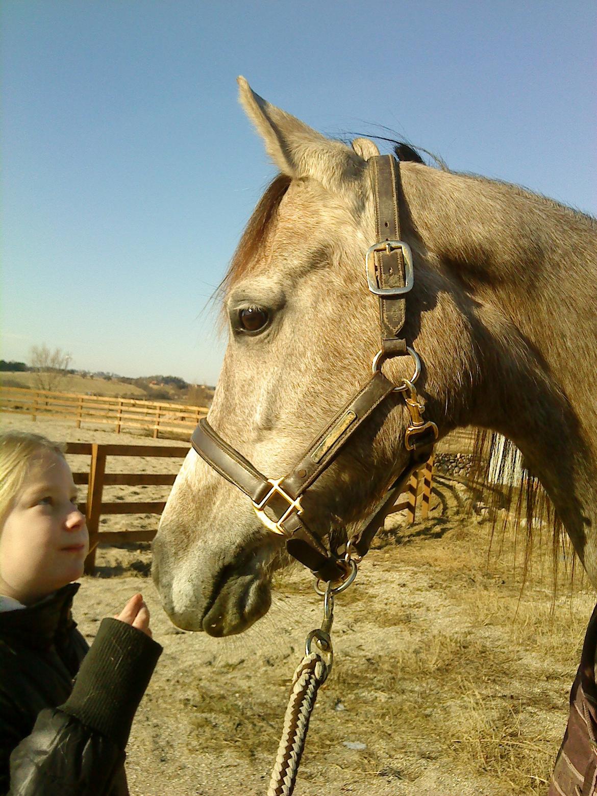 forskellige billeder af Fantasy<3 - igen Fantasy og min søster!<3 billede 24