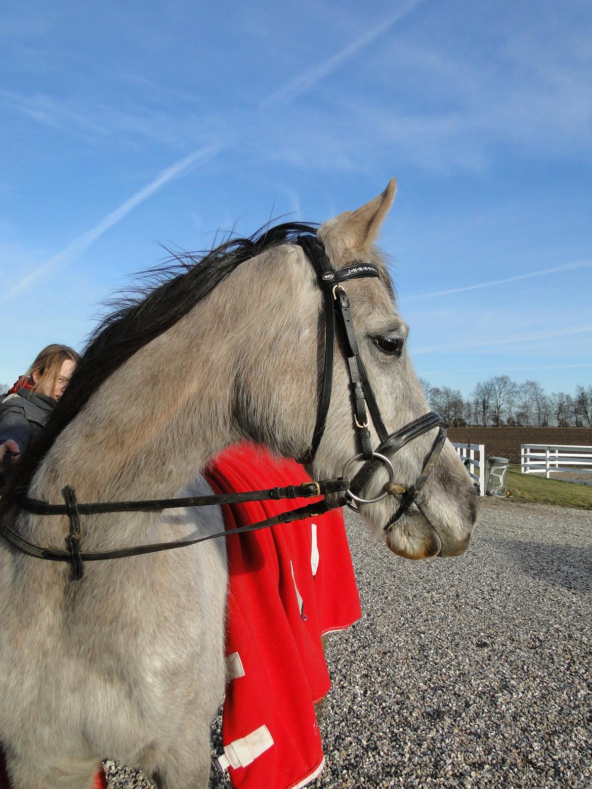 forskellige billeder af Fantasy<3 billede 26