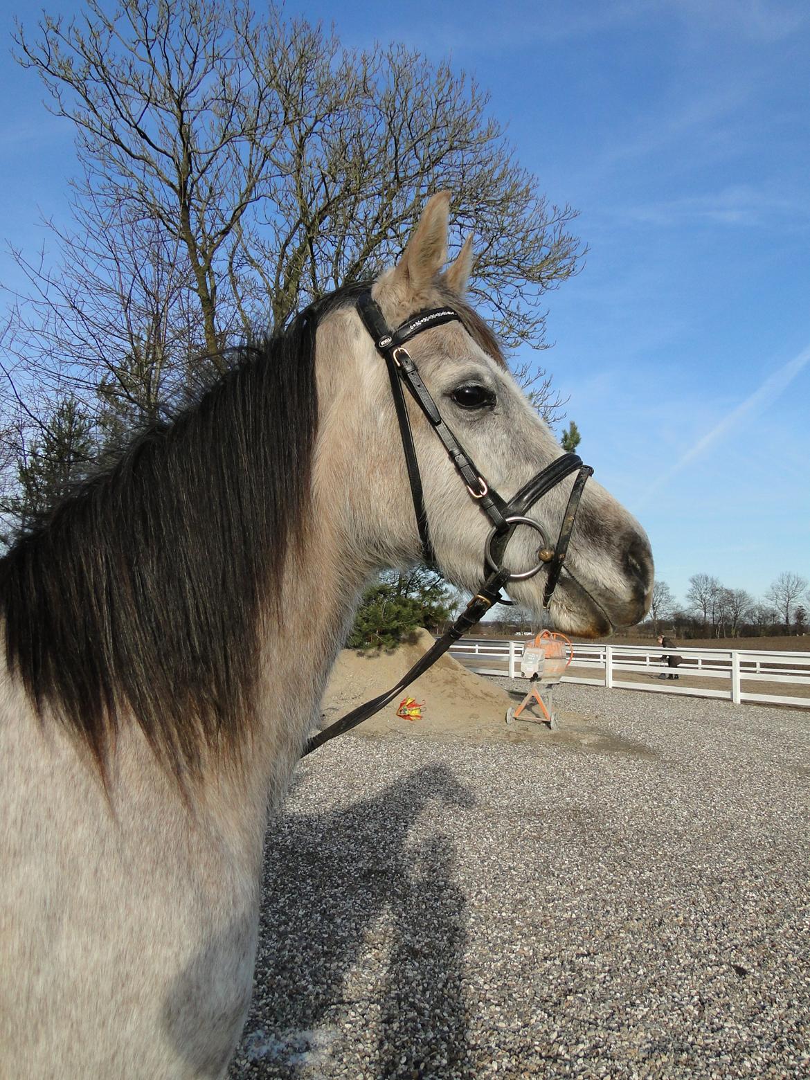 forskellige billeder af Fantasy<3 billede 27