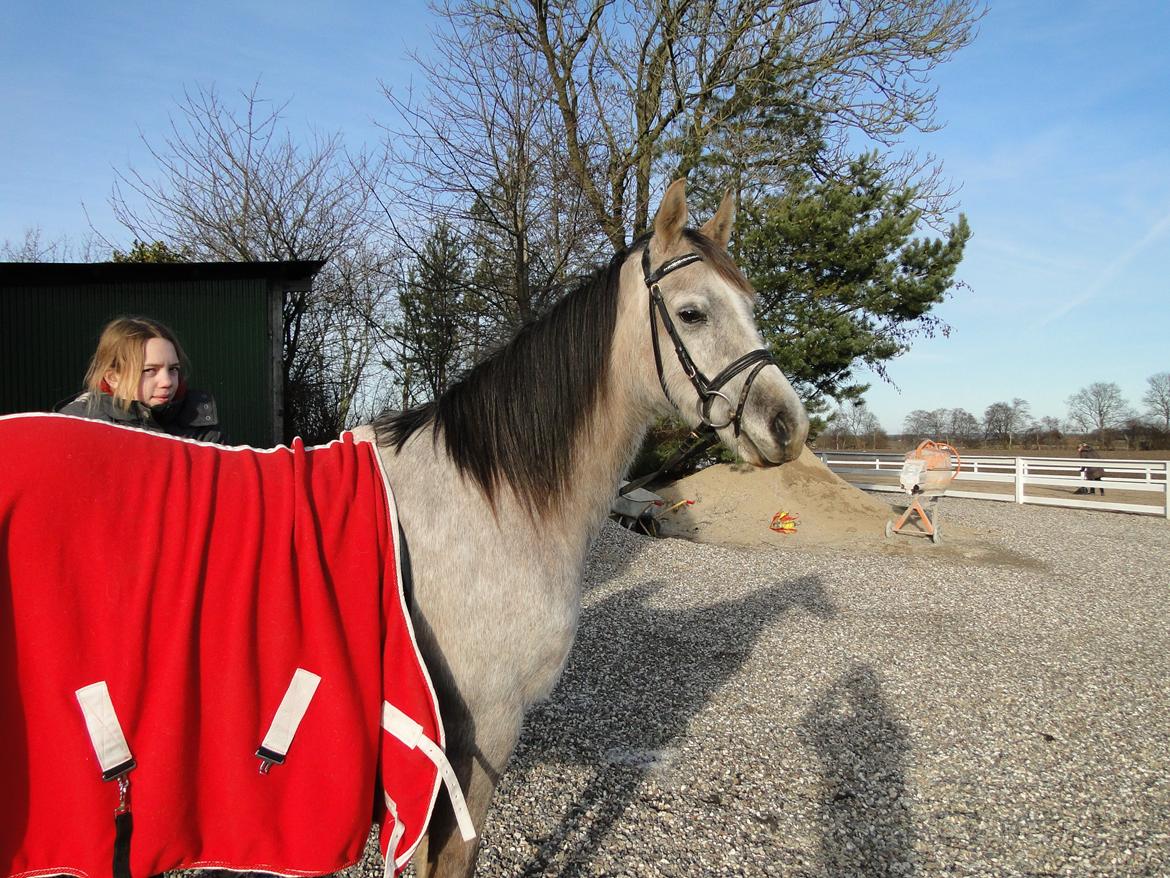 forskellige billeder af Fantasy<3 billede 28