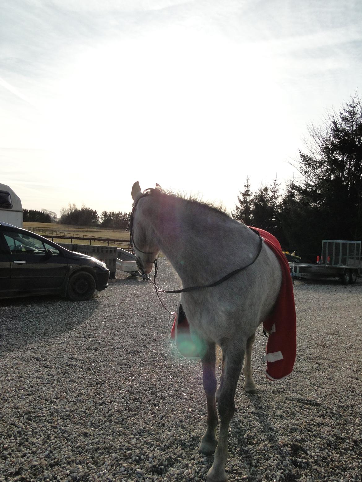 forskellige billeder af Fantasy<3 billede 32