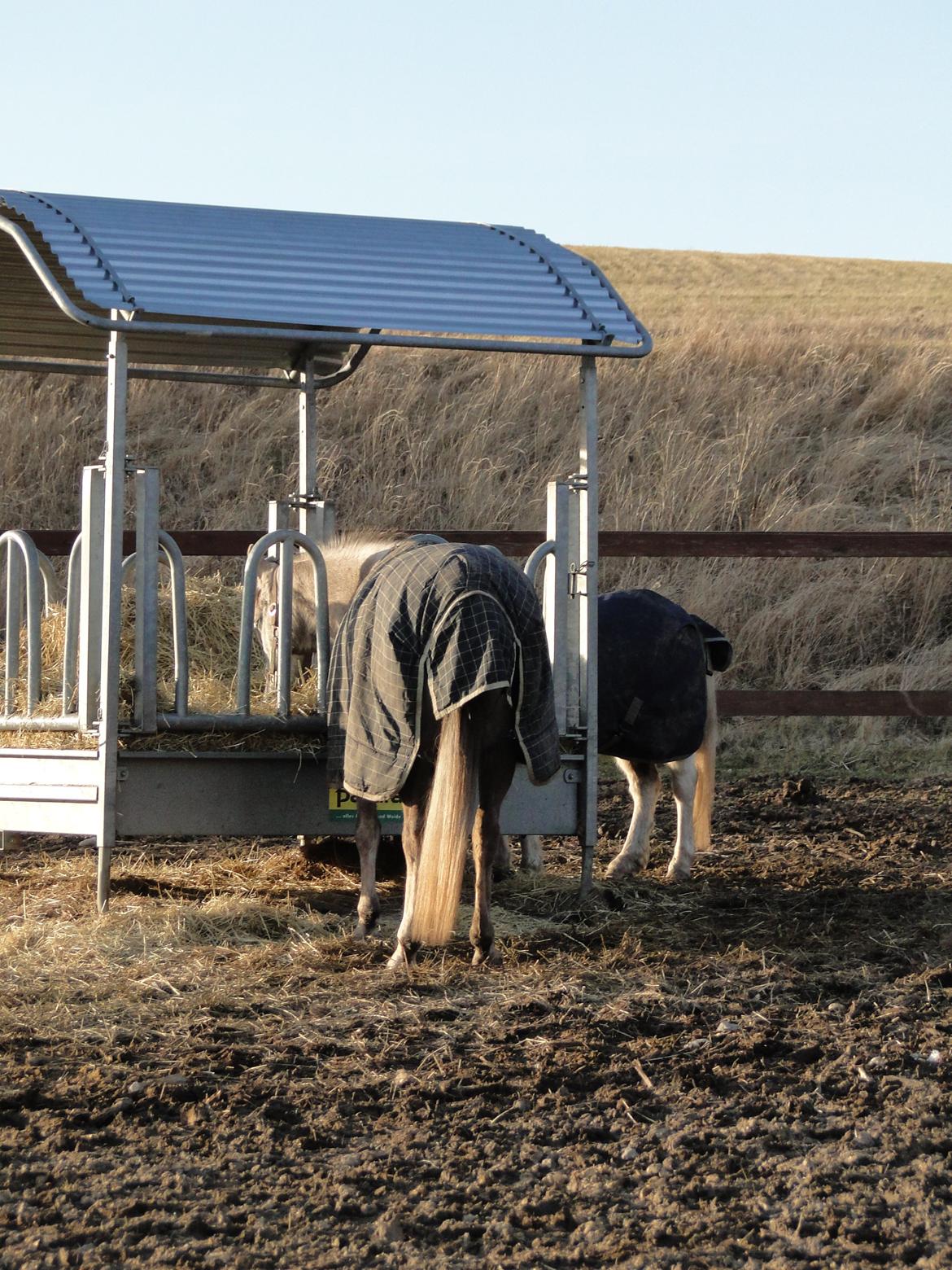 forskellige billeder af Fantasy<3 billede 33