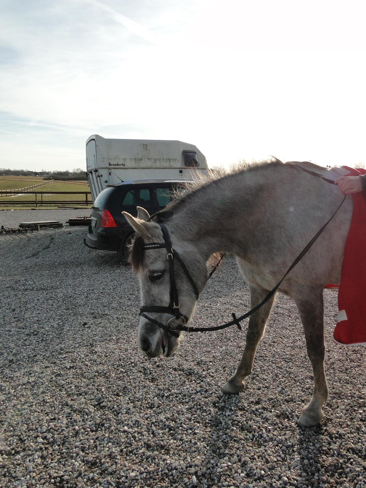 forskellige billeder af Fantasy<3 billede 34