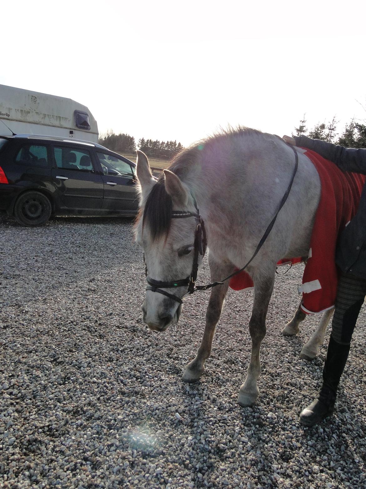 forskellige billeder af Fantasy<3 billede 35