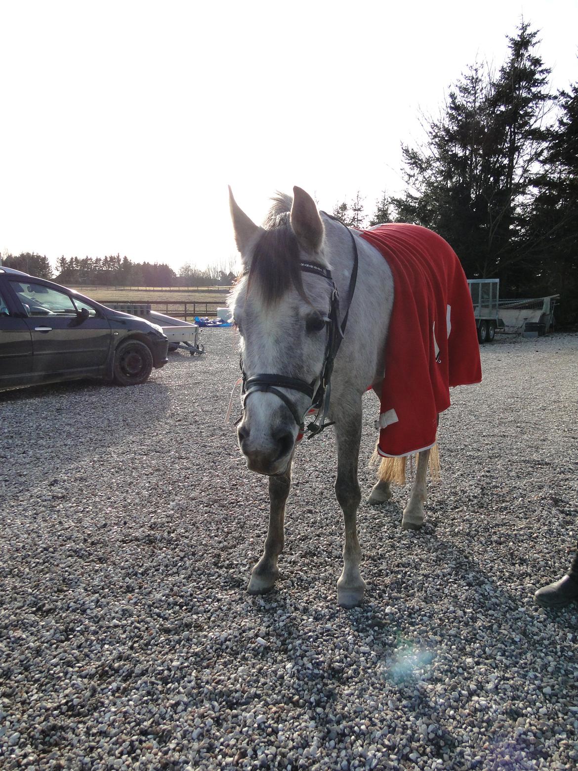 forskellige billeder af Fantasy<3 billede 36