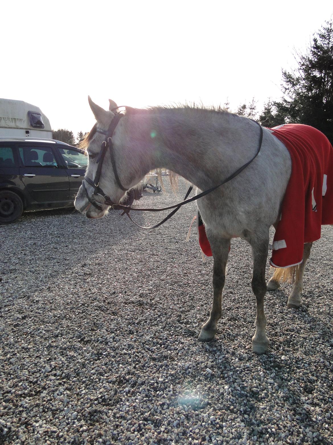 forskellige billeder af Fantasy<3 billede 37