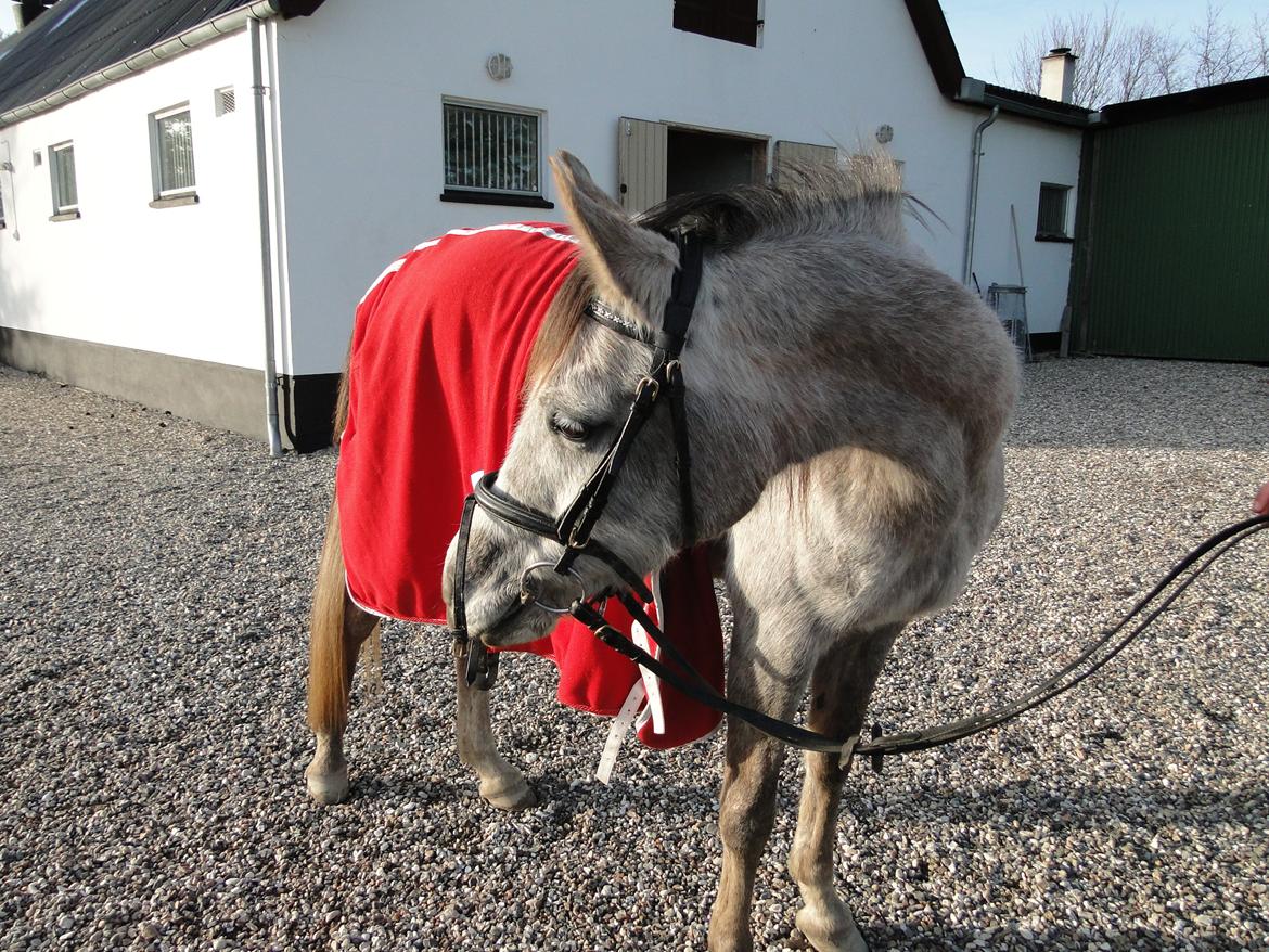 forskellige billeder af Fantasy<3 billede 39