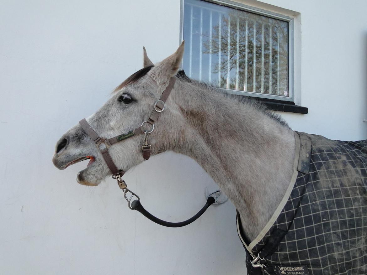 forskellige billeder af Fantasy<3 billede 41