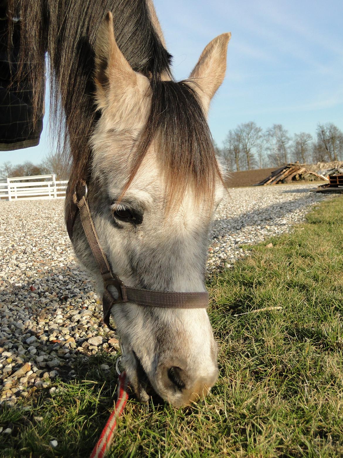 forskellige billeder af Fantasy<3 billede 43