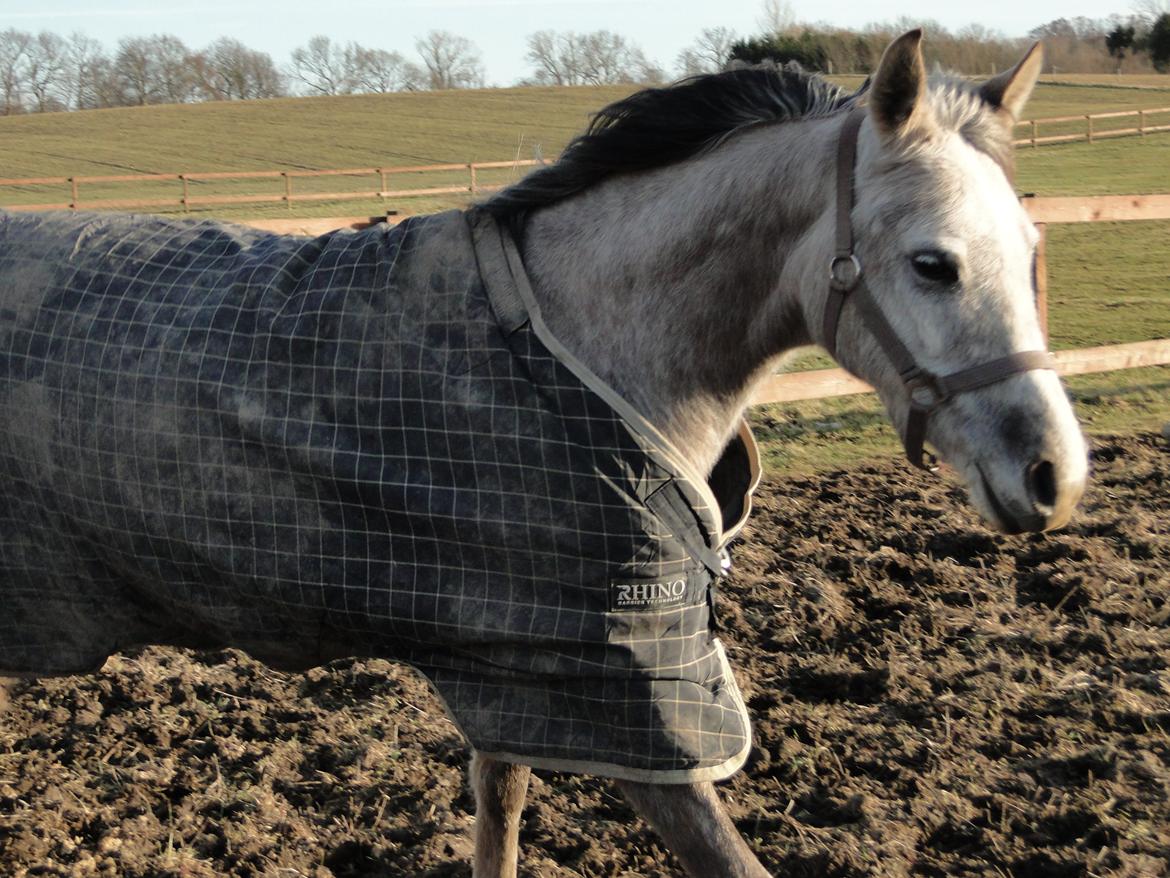 forskellige billeder af Fantasy<3 billede 44