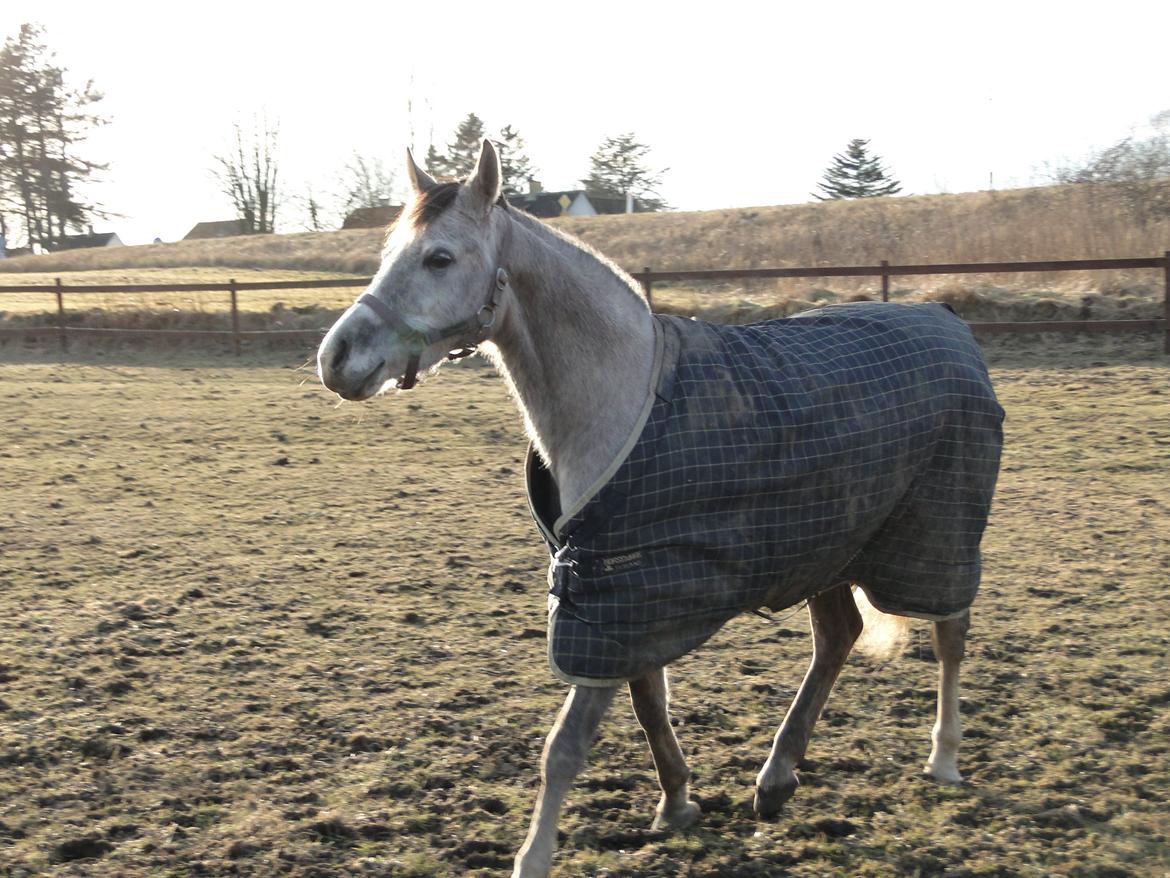 forskellige billeder af Fantasy<3 billede 45