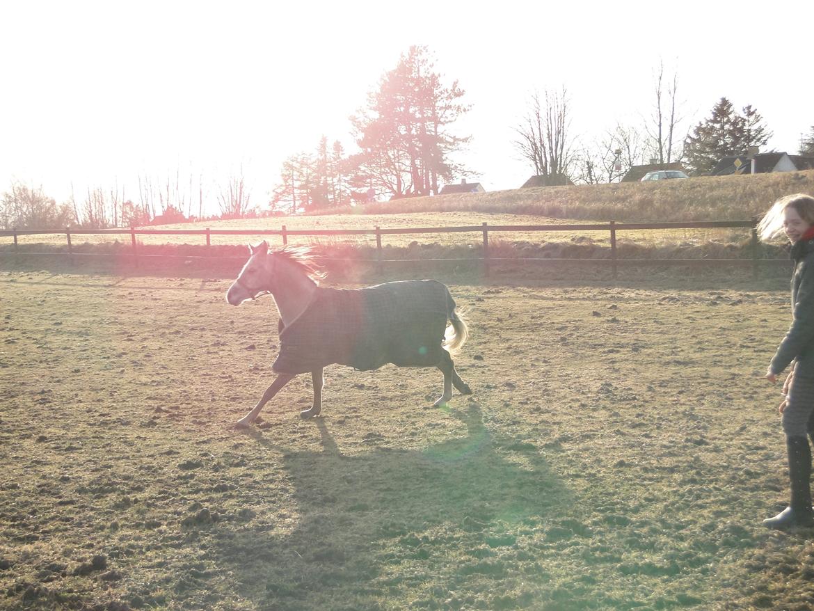 forskellige billeder af Fantasy<3 billede 46