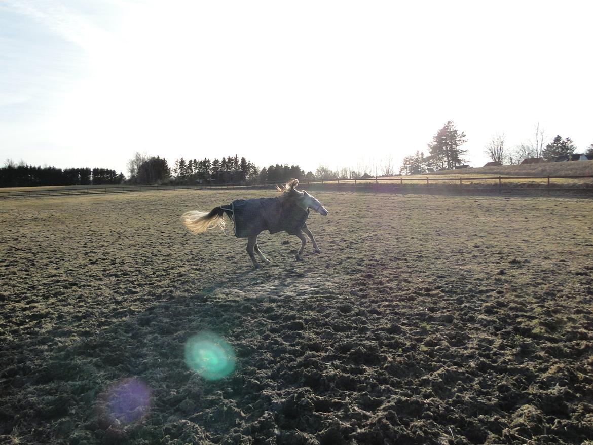 forskellige billeder af Fantasy<3 billede 47