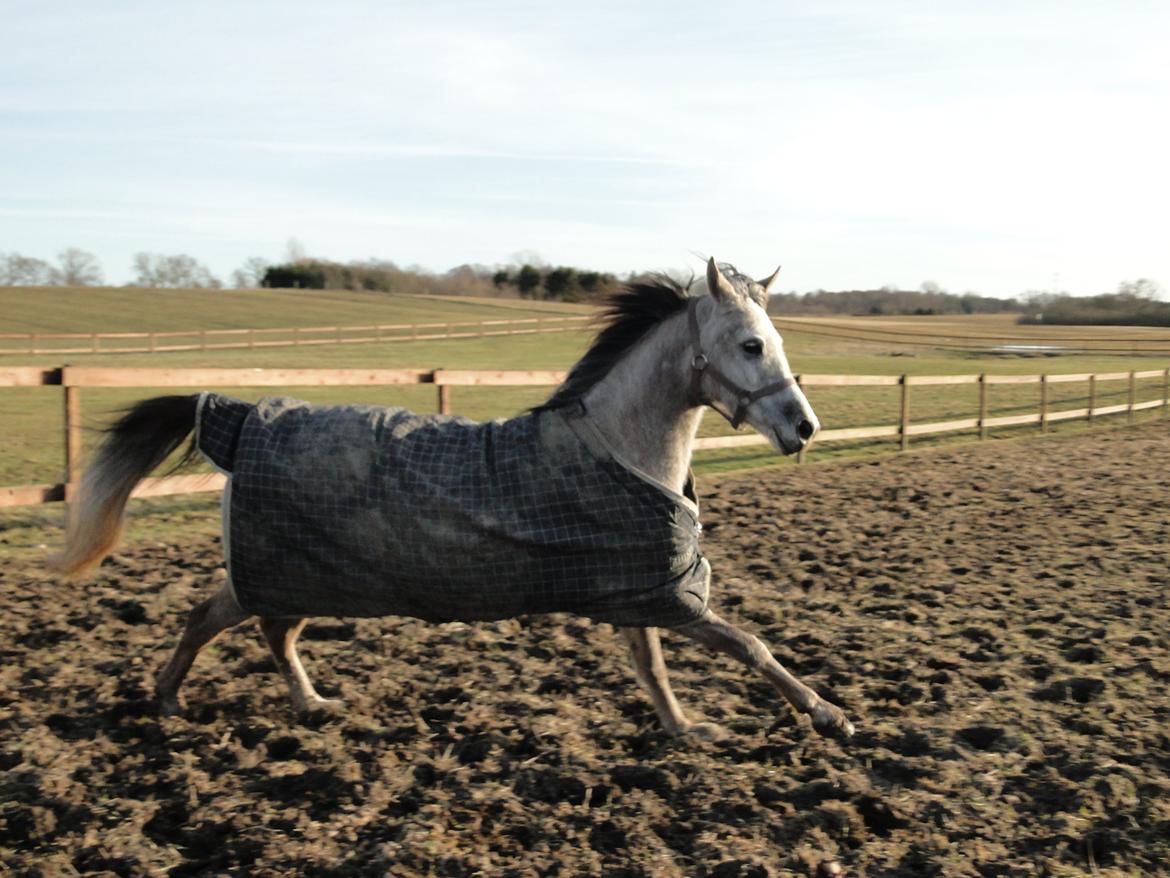 forskellige billeder af Fantasy<3 billede 48