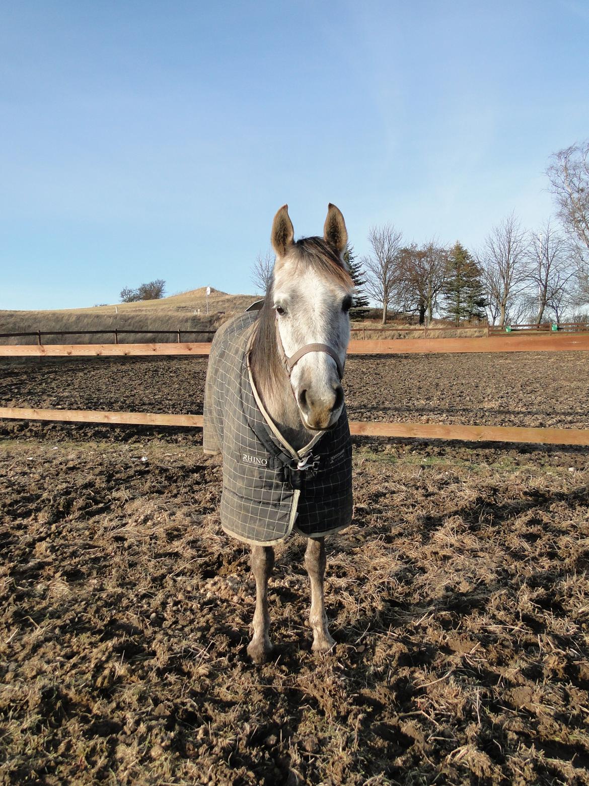 forskellige billeder af Fantasy<3 billede 49