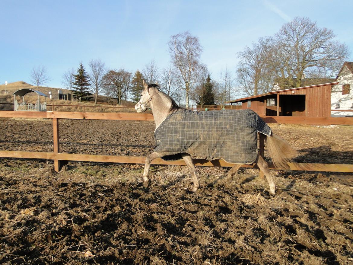 forskellige billeder af Fantasy<3 billede 50