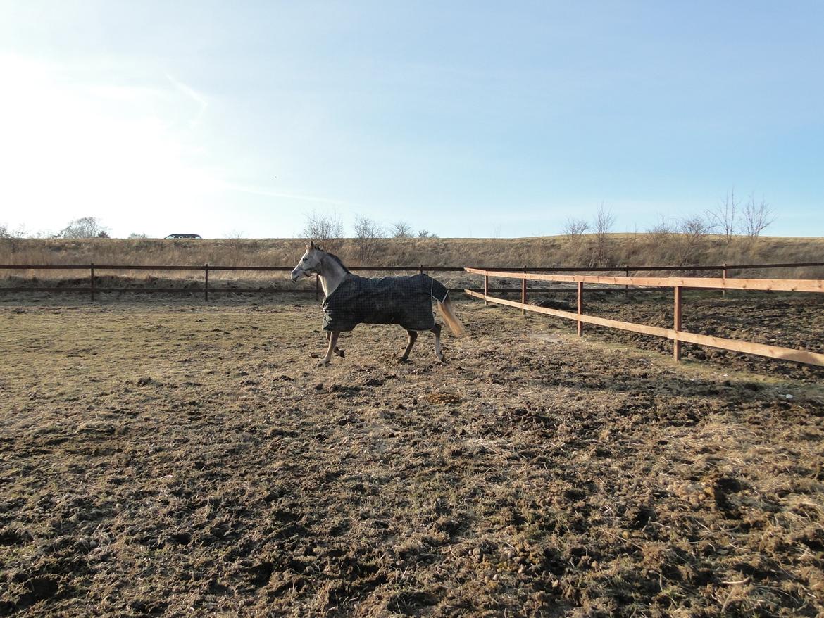 forskellige billeder af Fantasy<3 billede 51