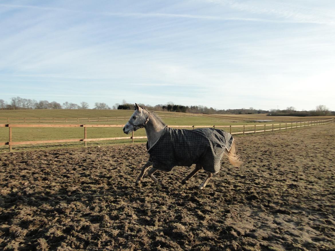 forskellige billeder af Fantasy<3 billede 52