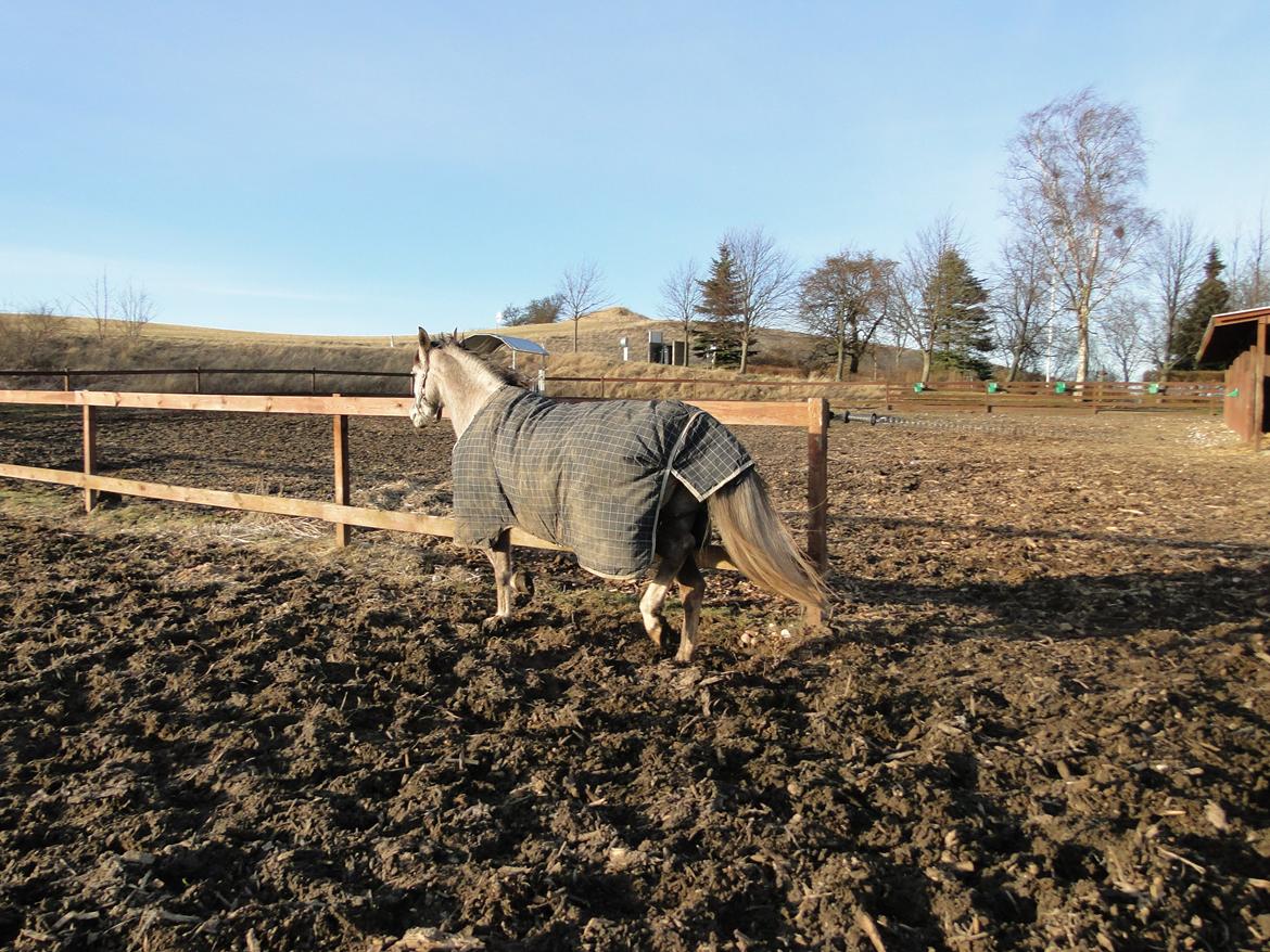 forskellige billeder af Fantasy<3 billede 53