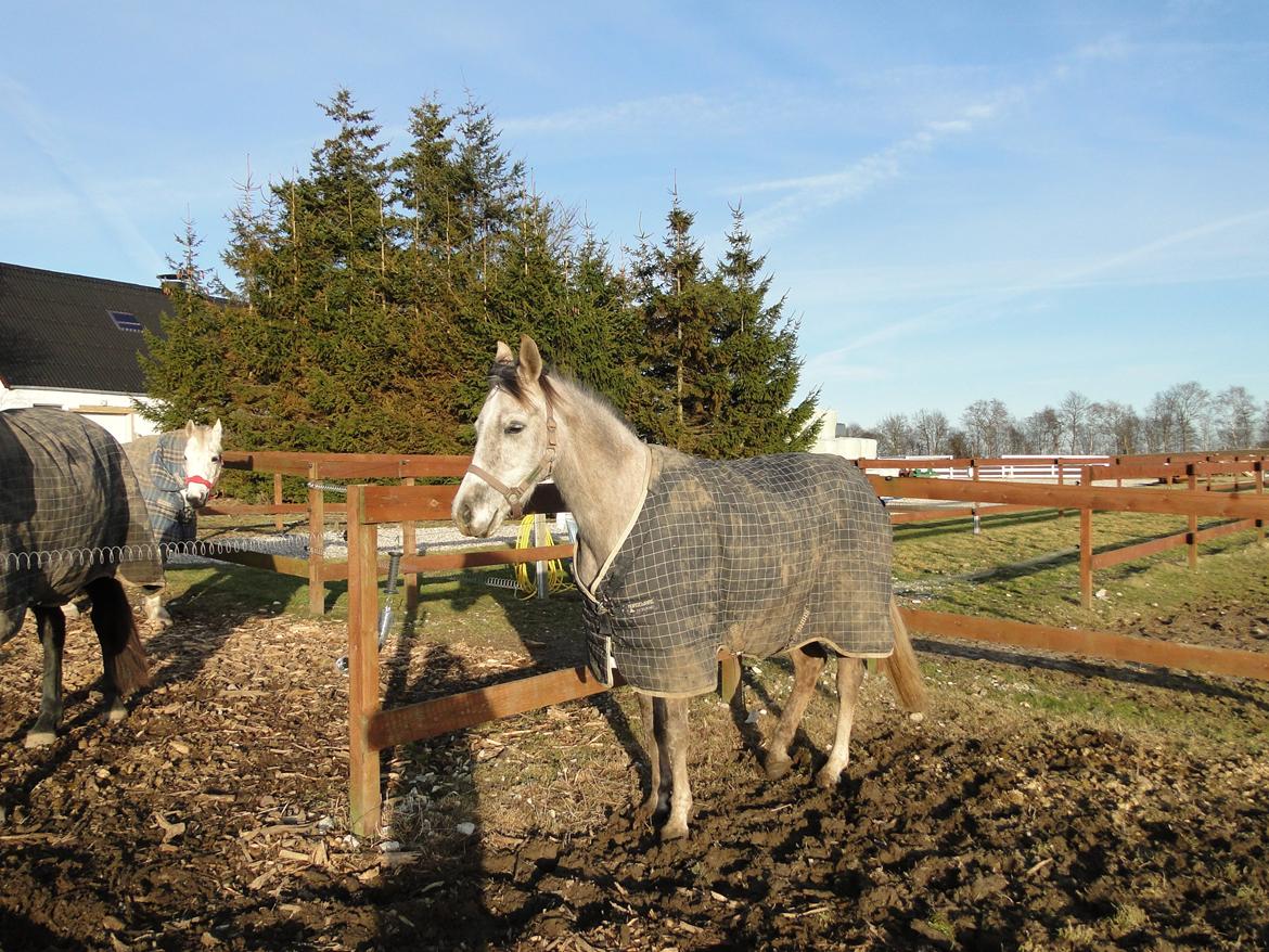 forskellige billeder af Fantasy<3 billede 54