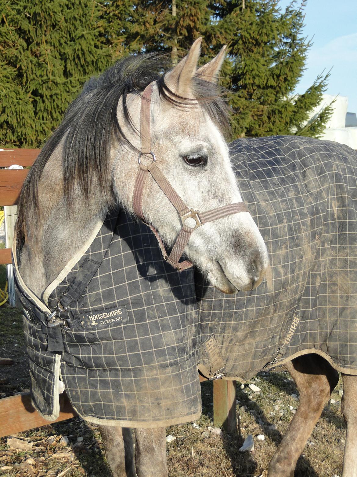 forskellige billeder af Fantasy<3 billede 55