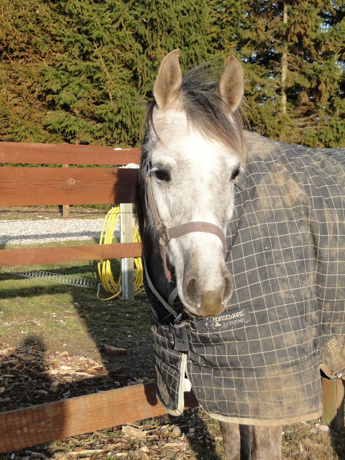 forskellige billeder af Fantasy<3 billede 56