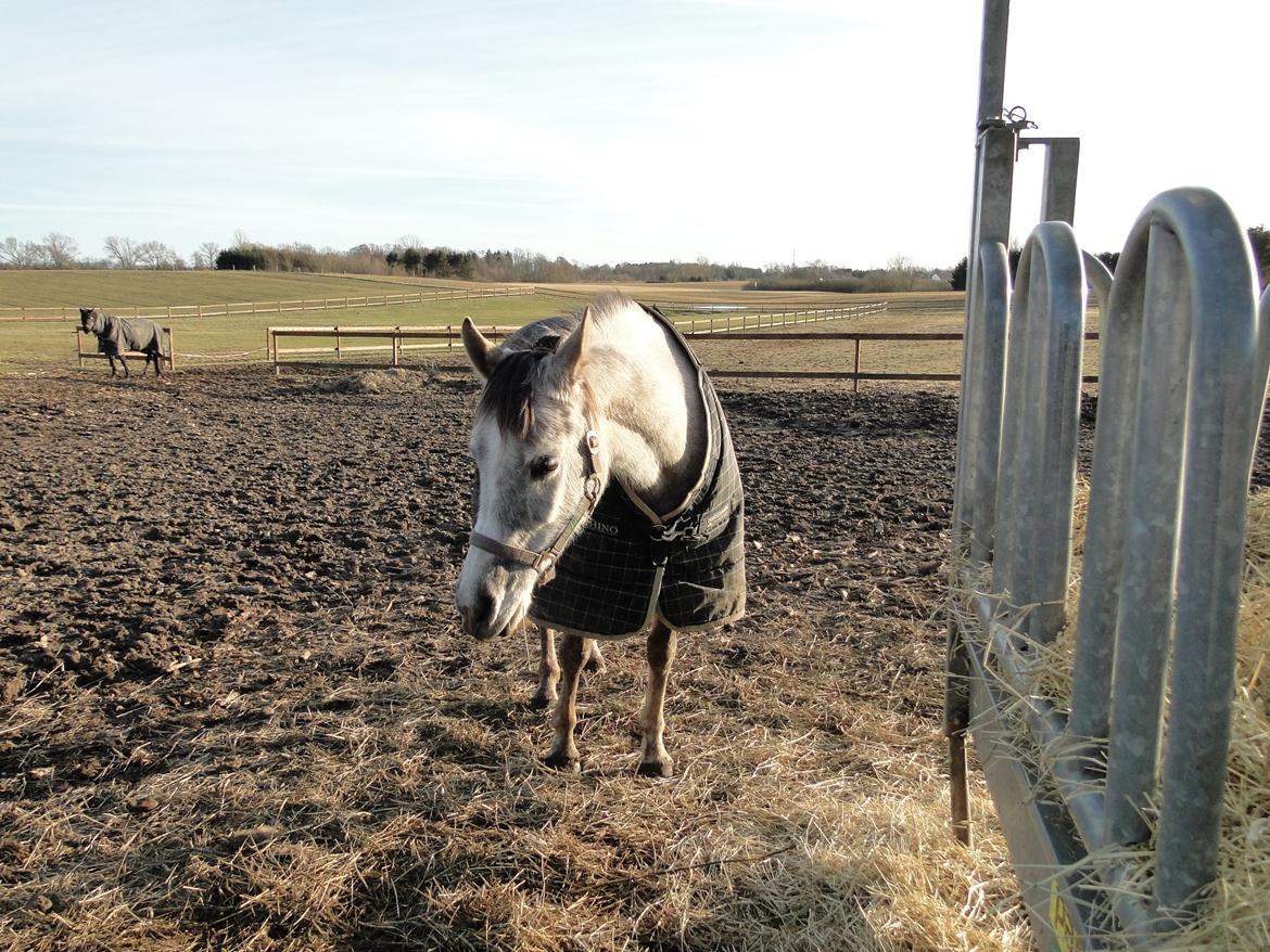 forskellige billeder af Fantasy<3 billede 57