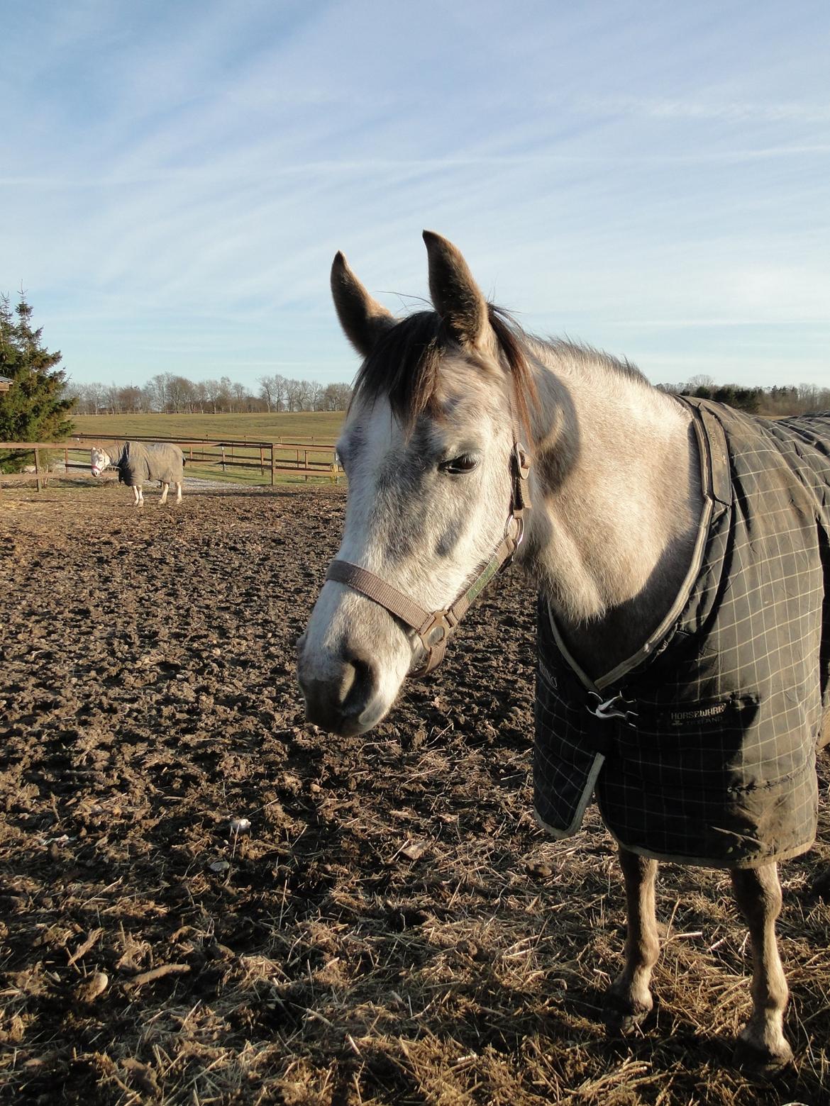 forskellige billeder af Fantasy<3 billede 58