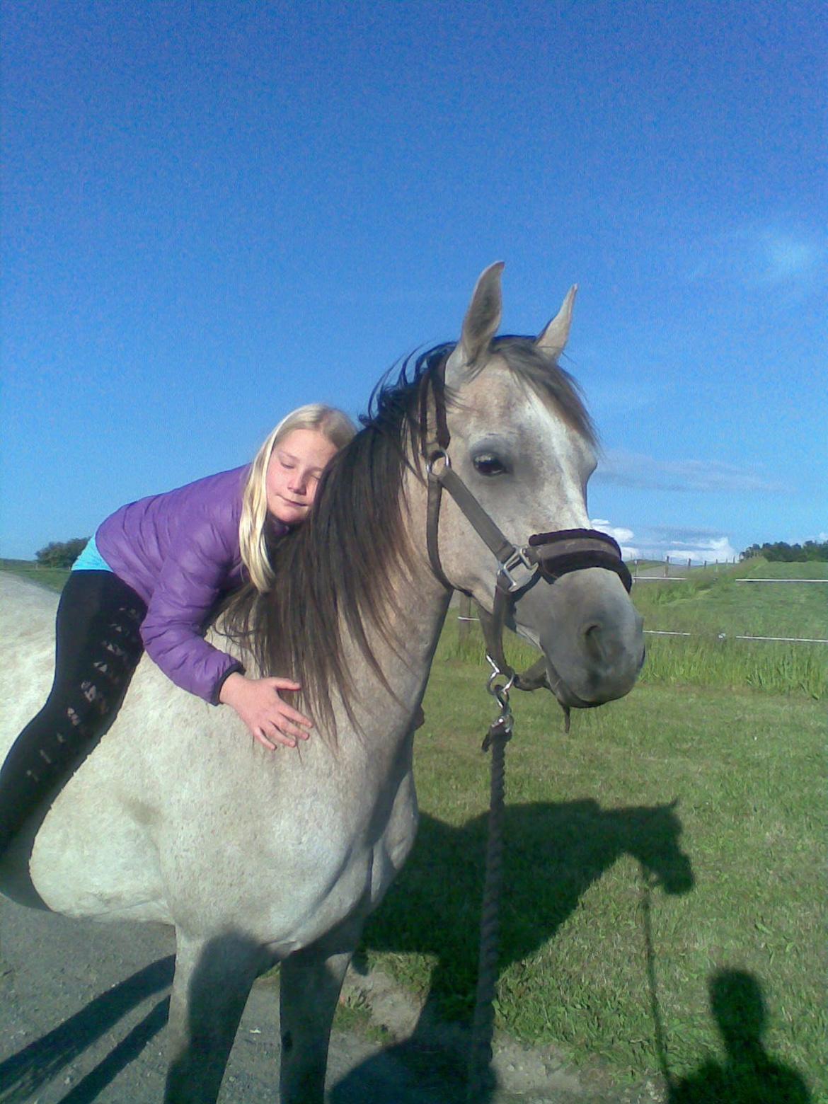 forskellige billeder af Fantasy<3 billede 61