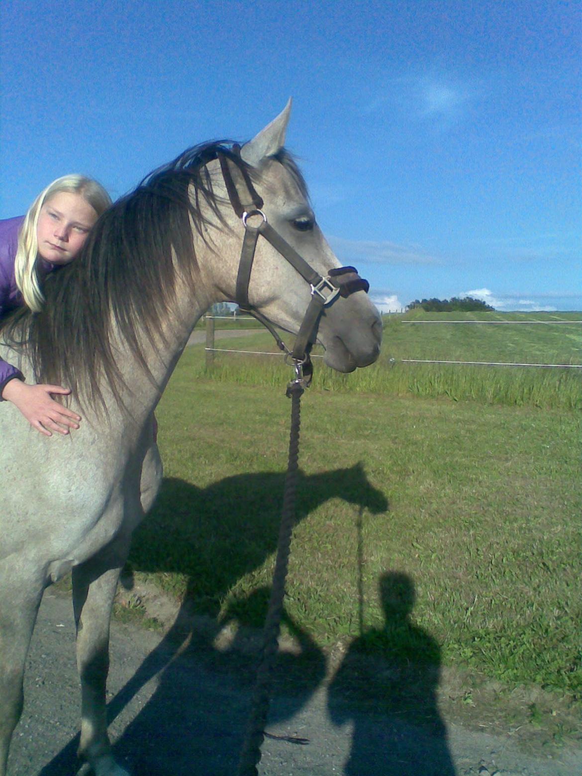 forskellige billeder af Fantasy<3 billede 62