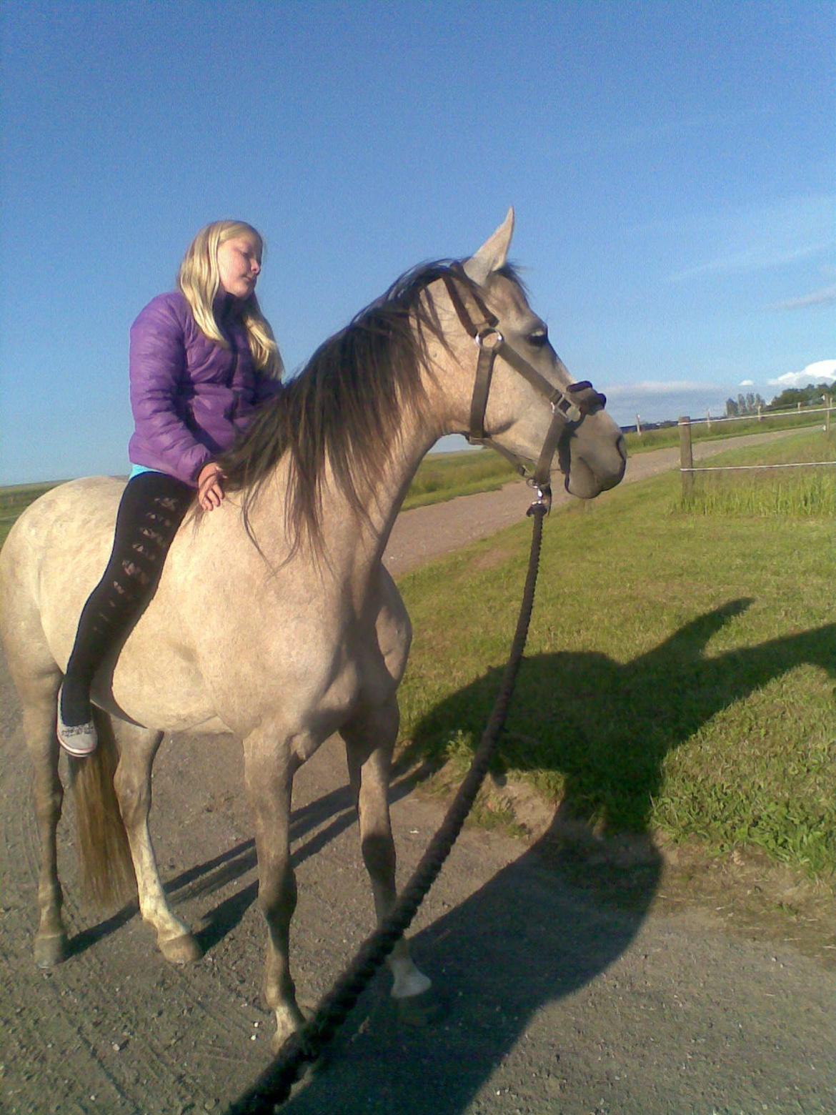 forskellige billeder af Fantasy<3 billede 63