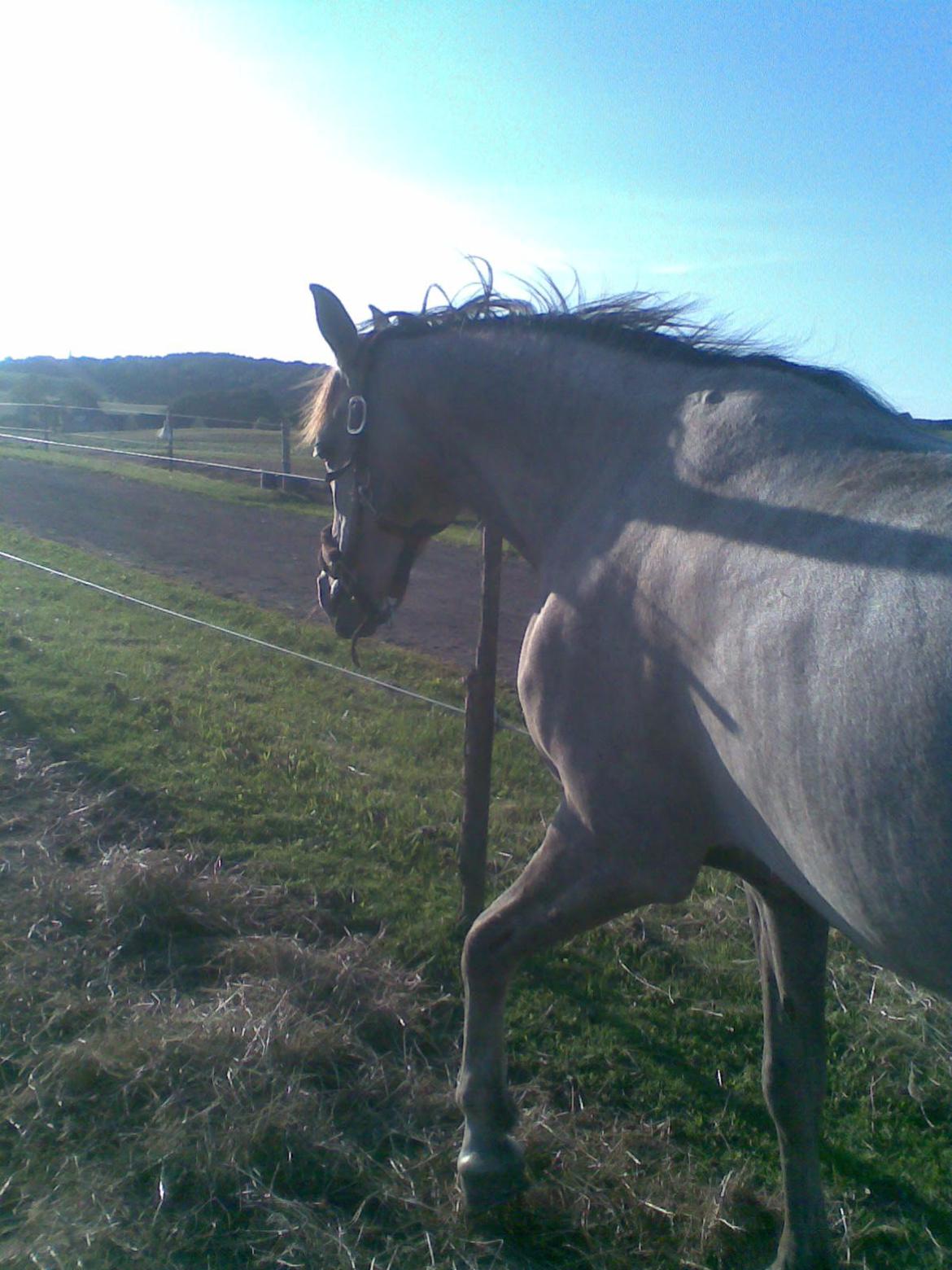 forskellige billeder af Fantasy<3 billede 64