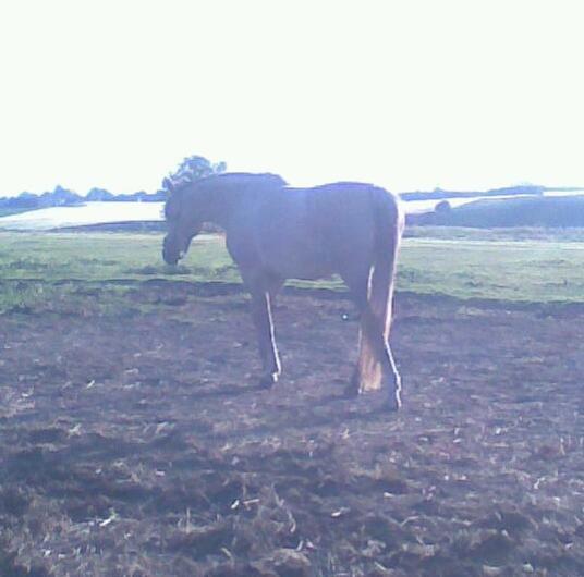 forskellige billeder af Fantasy<3 billede 69