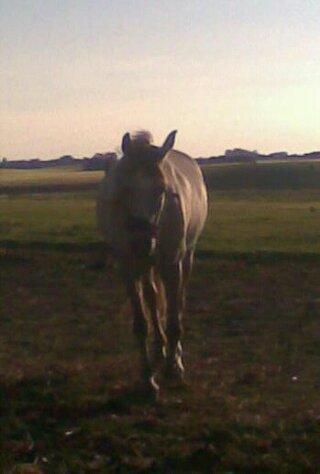 forskellige billeder af Fantasy<3 billede 70