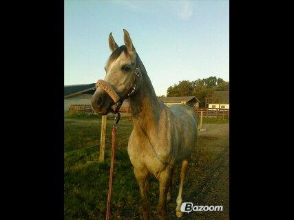 forskellige billeder af Fantasy<3 billede 81