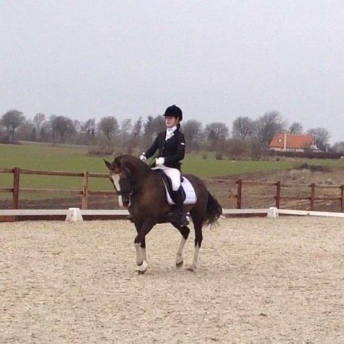 Glamsbjerg rideklub 14/4 2013 billede 10