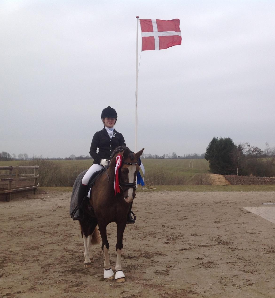 Glamsbjerg rideklub 14/4 2013 billede 7