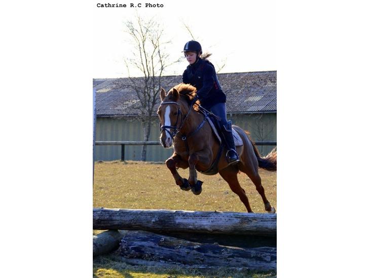 {{currentPhoto.altText}} billede {{currentPhoto.number}}