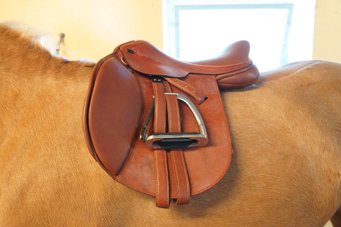 Santa Cruz springsadel billede 1