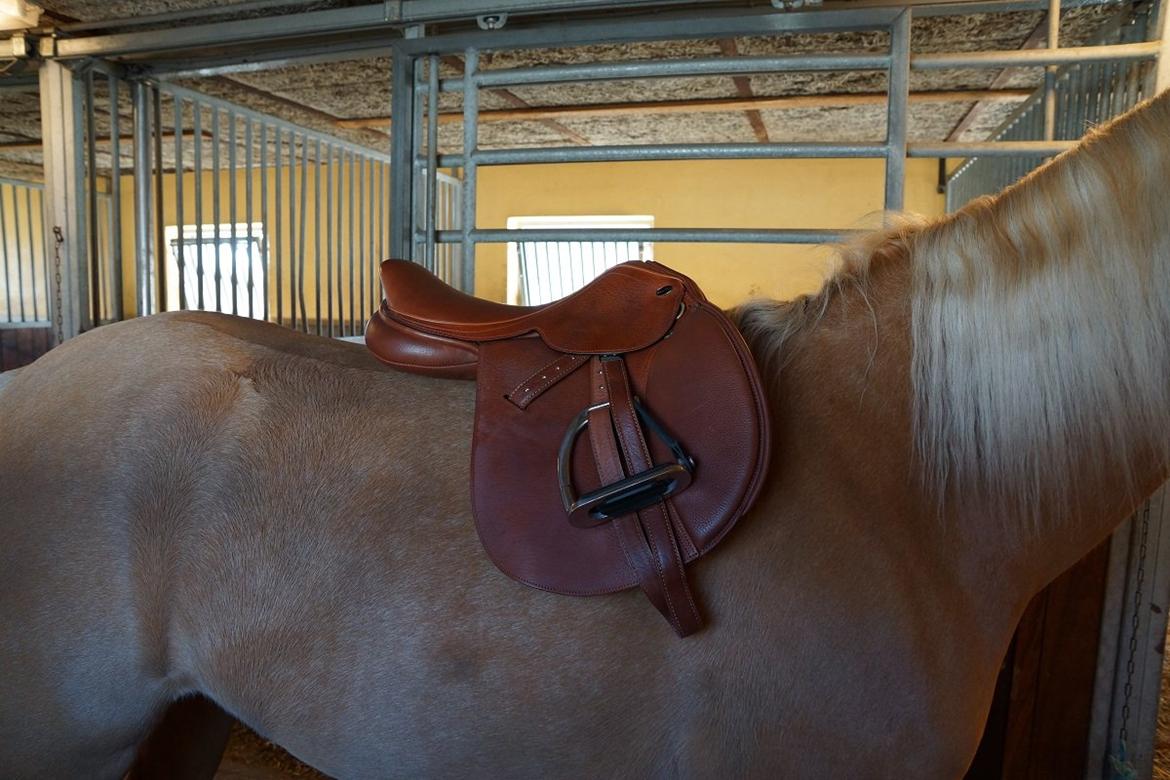 Santa Cruz springsadel billede 3