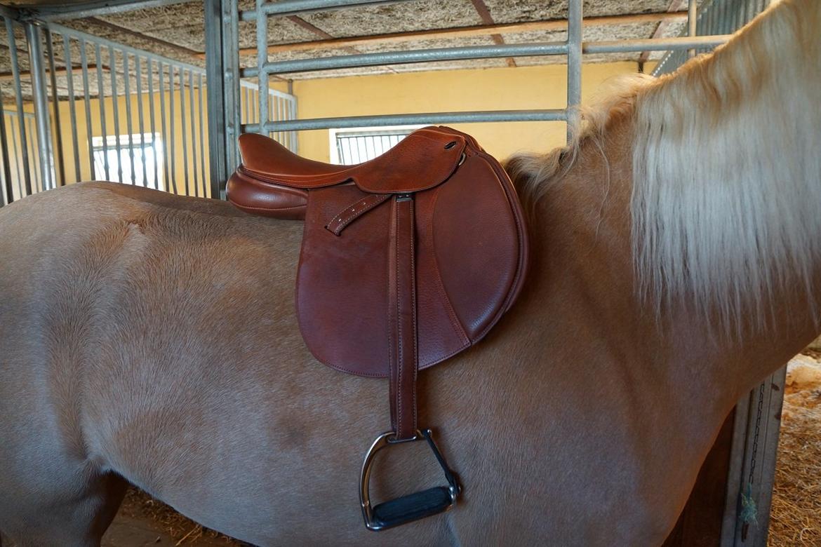 Santa Cruz springsadel billede 4